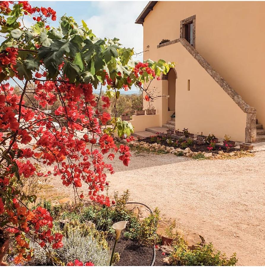 Agriturismo Morani Santa Severa Extérieur photo